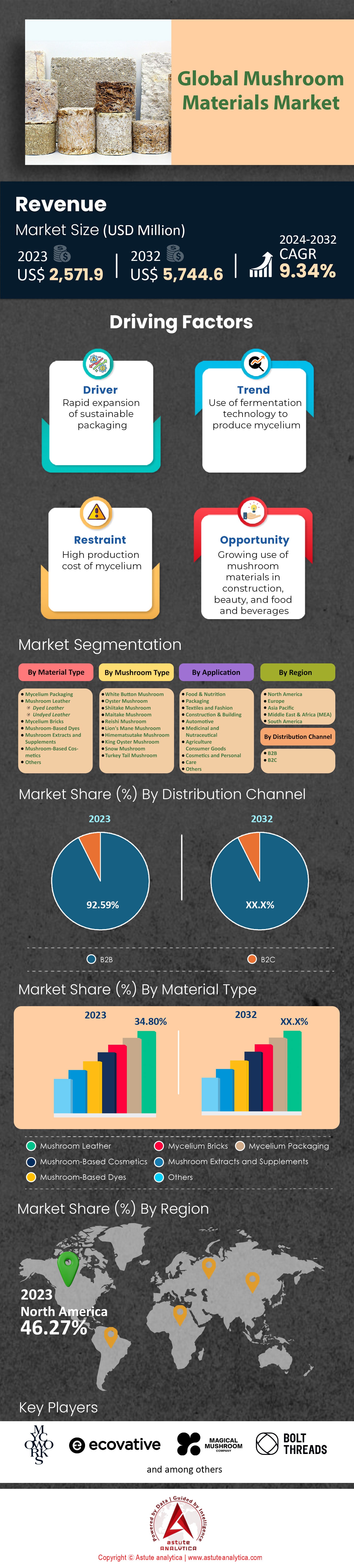 Markt für Pilzmaterialien